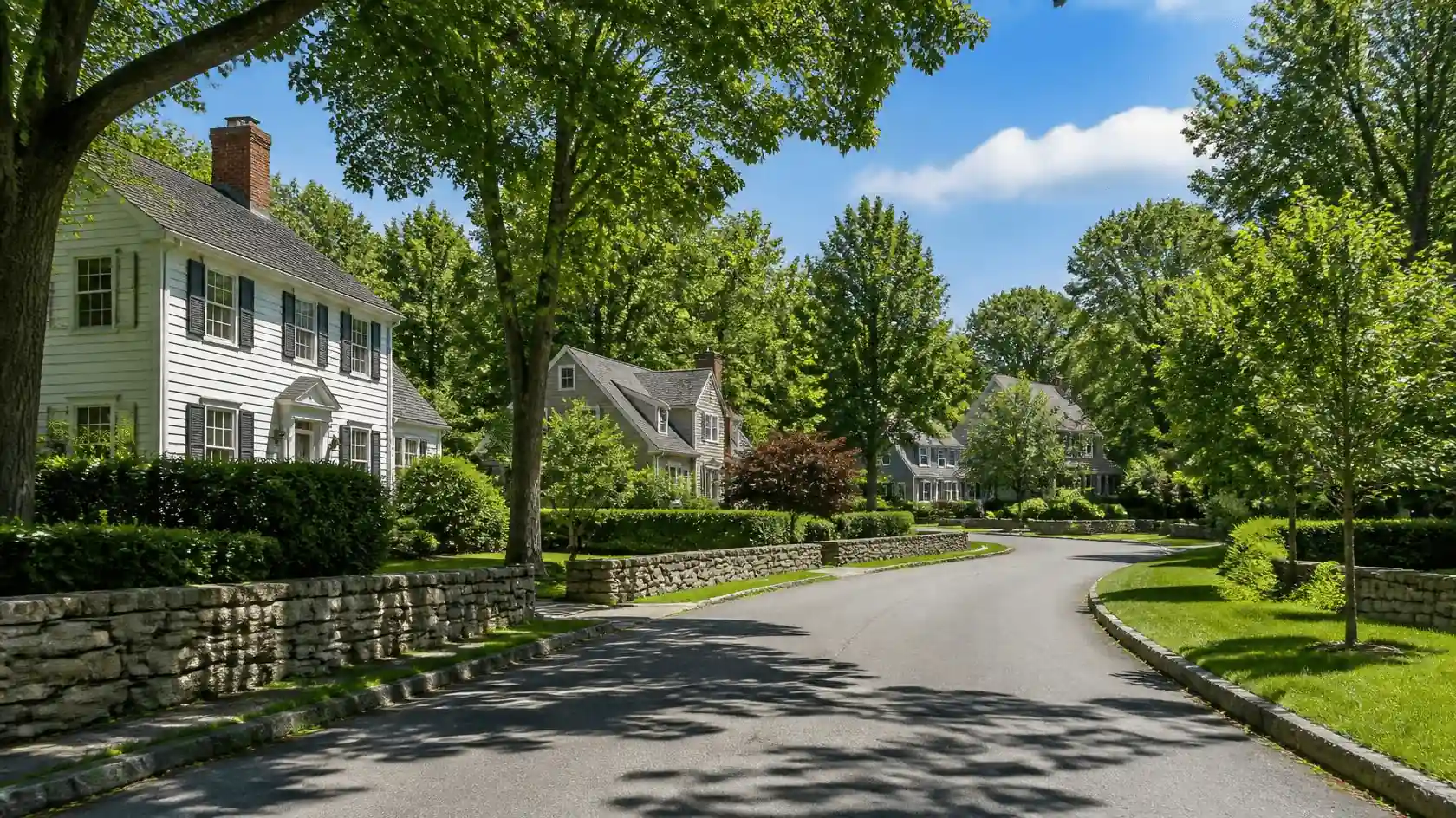 Charming neighborhood homes with visible brick chimneys